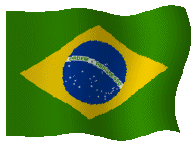 brazil banner