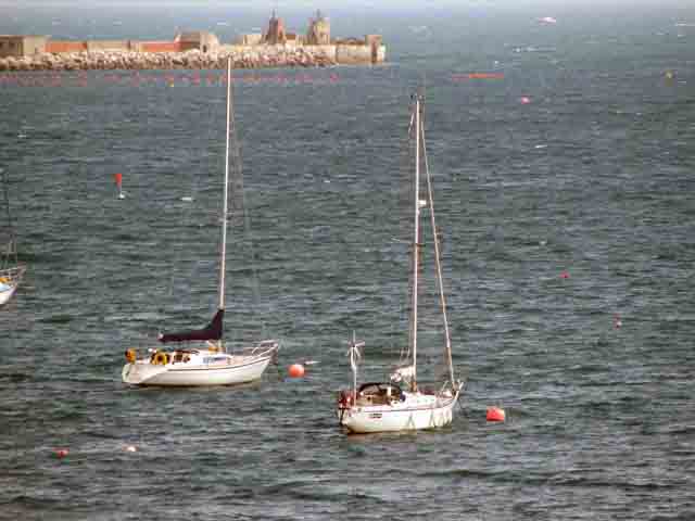 (Basile in Caslte cove, Weymouth UK)