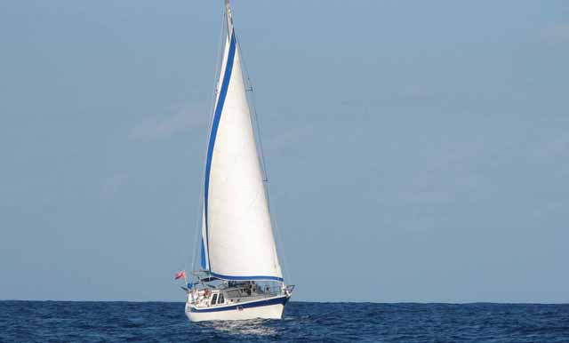 (samen varen met TinTin)